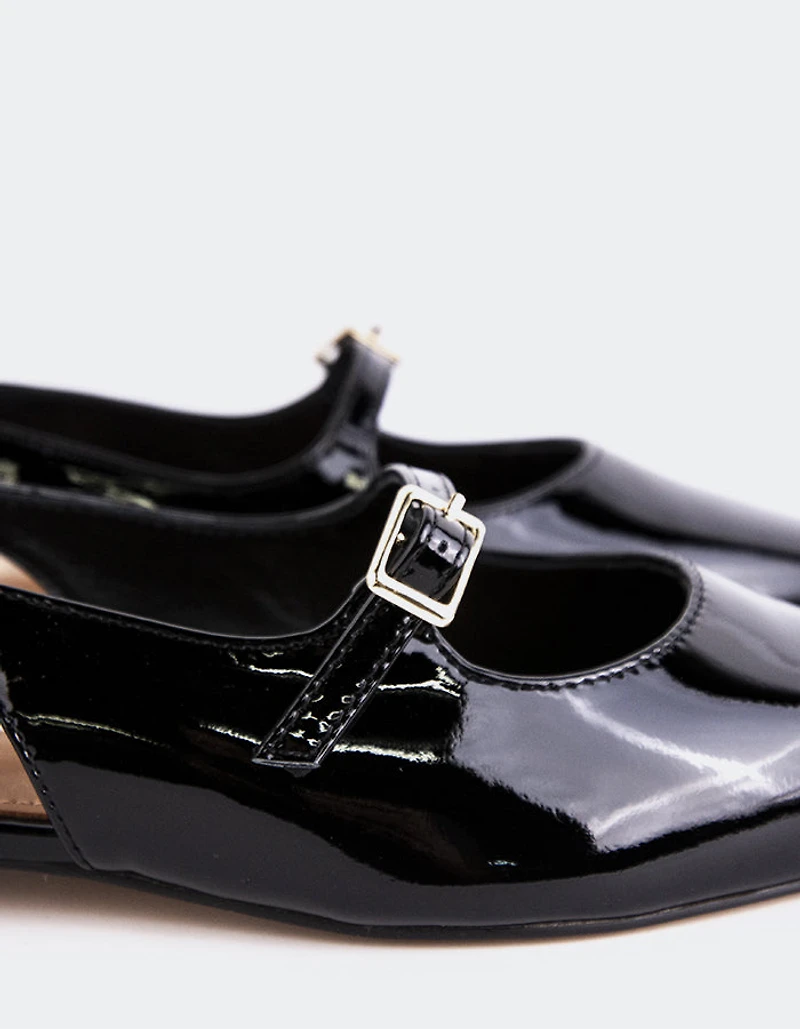 Ludisia Black Patent