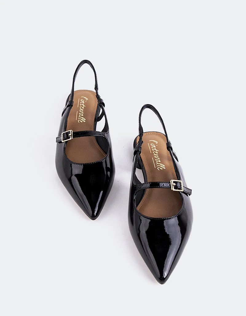 Ludisia Black Patent