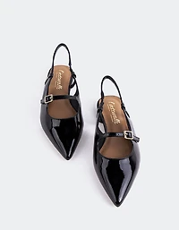 Ludisia Black Patent