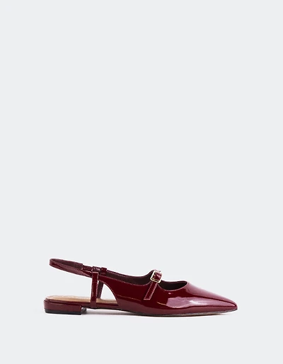 Ludisia Burgundy Patent