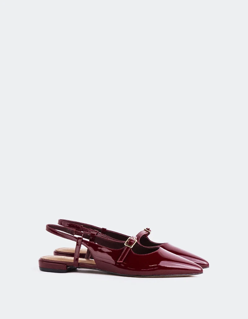 Ludisia Burgundy Patent
