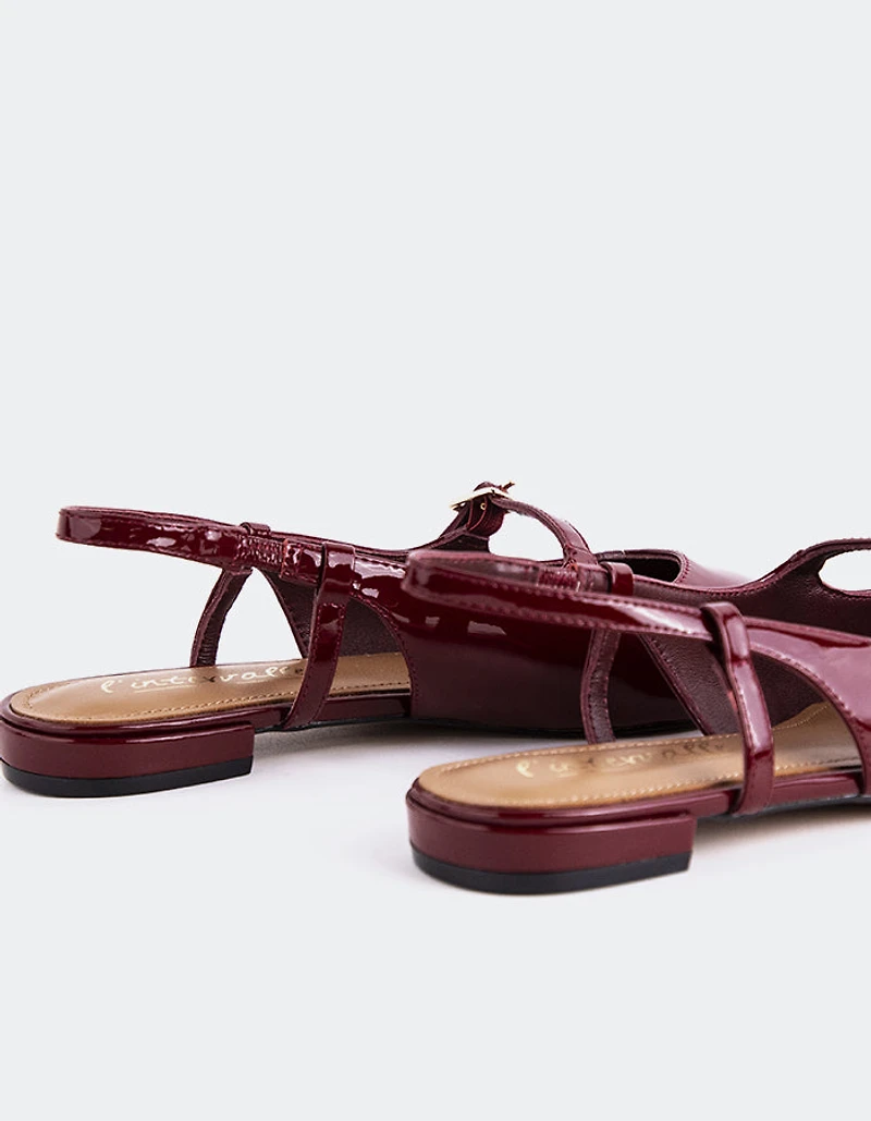 Ludisia Burgundy Patent