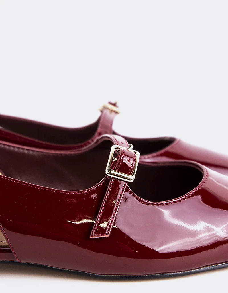 Ludisia Burgundy Patent