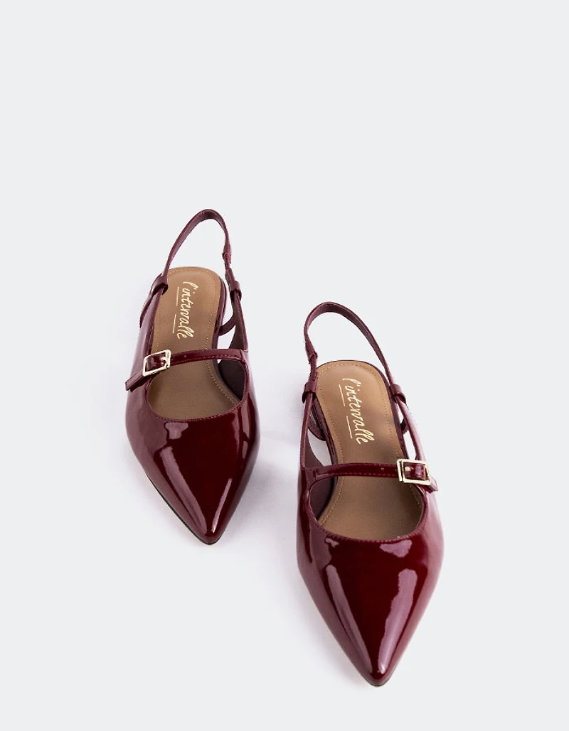 Ludisia Burgundy Patent