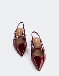 Ludisia Burgundy Patent