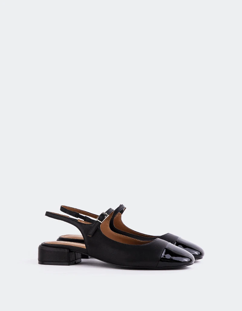 Miltonia Black Leather