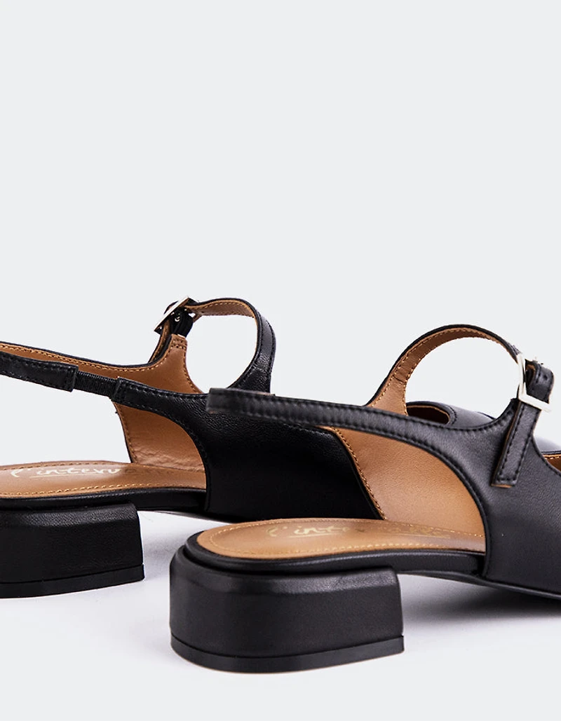 Miltonia Black Leather