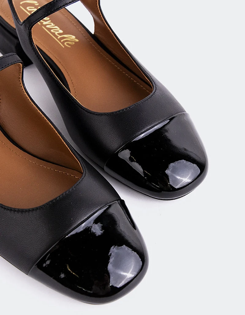 Miltonia Black Leather
