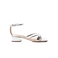 Radiant Silver Metal