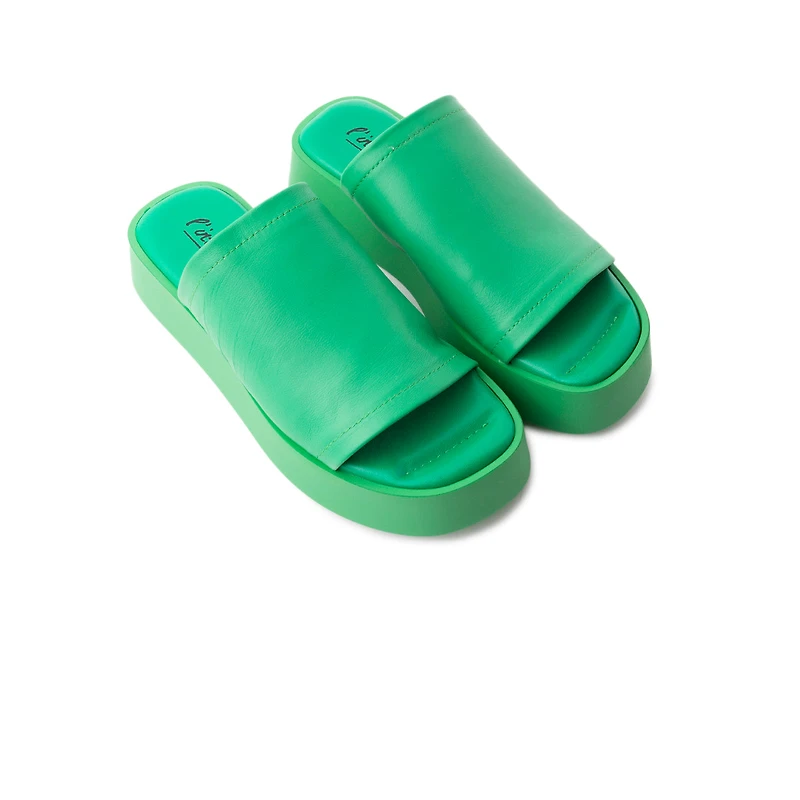 Dumpling Green Leather