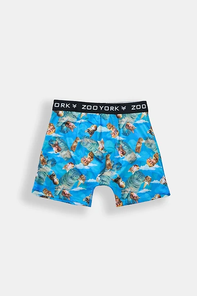 Zoo York Cats & Ice Cream Boxer Brief