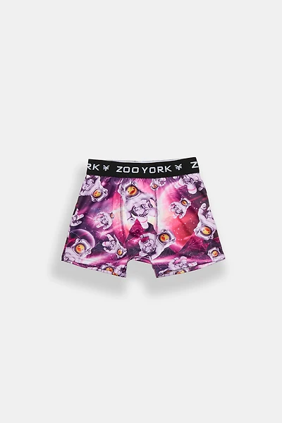 Zoo York Youth Astronaut Ducks Boxer Brief