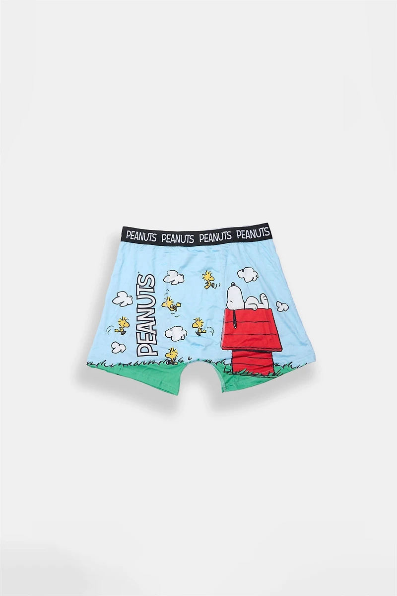 Youth Peanuts Snoopy Doghouse Printed Boxer Briefs