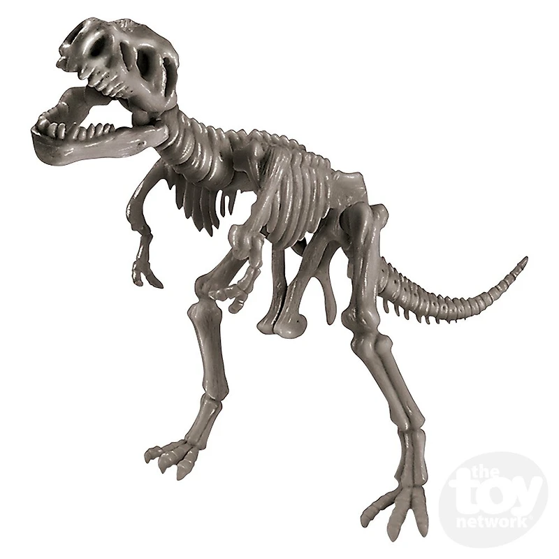 STEAM - Dinosaur World