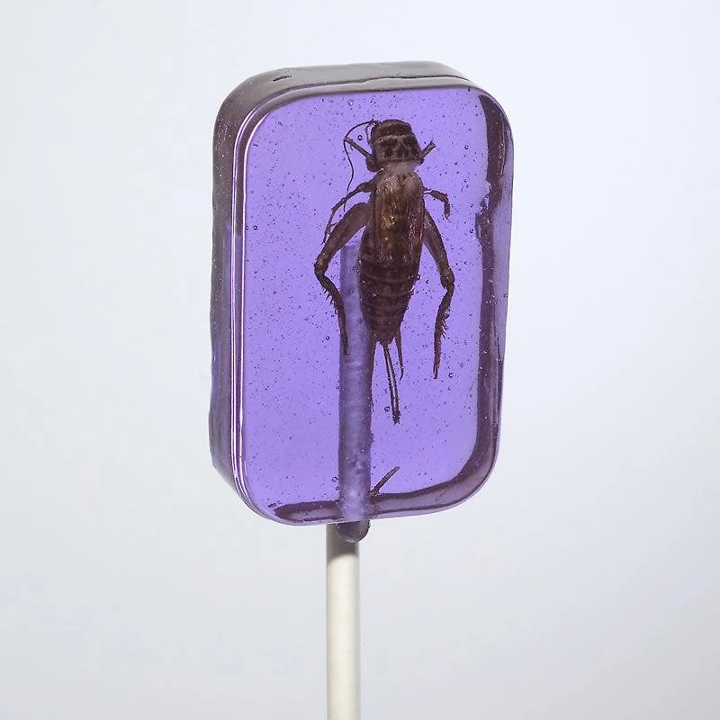 Cricket Lick-It Suckers Assorted Flavors