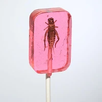 Cricket Lick-It Suckers Assorted Flavors