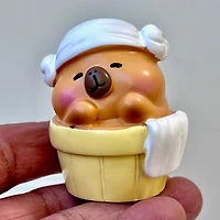 Capybara Figurine Blind Box