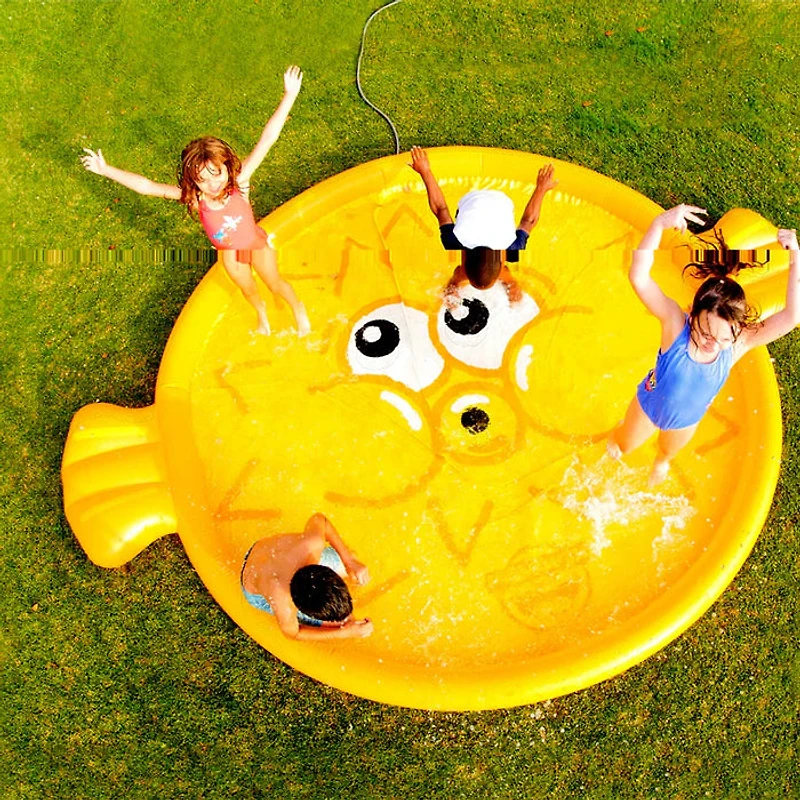 Blissful Blowfish Splash Pad