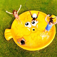 Blissful Blowfish Splash Pad