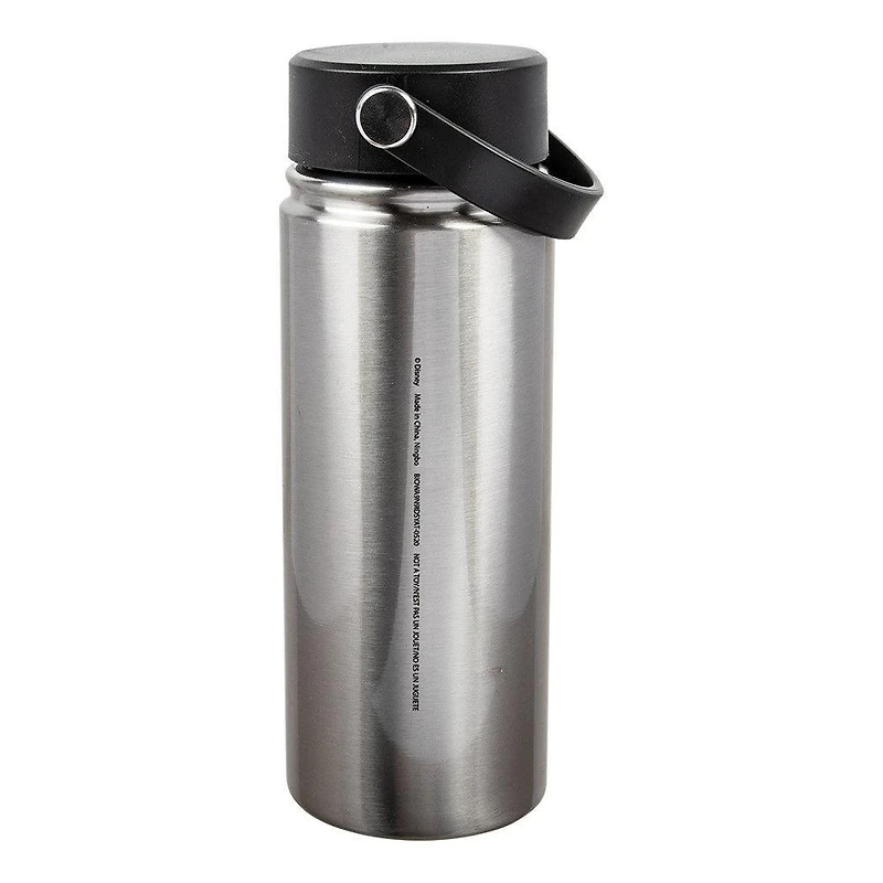 Disney Mickey & Minnie Ultimate Couple 17 oz. Stainless Steel Water Bottle