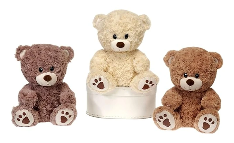 9.5” Sitting Paw Print Bears Assorted Styles