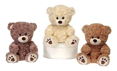9.5” Sitting Paw Print Bears Assorted Styles