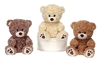 9.5” Sitting Paw Print Bears Assorted Styles