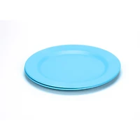 Large Plates