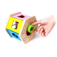 Shake and Match Shape Sorter