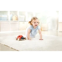 Shape-Sorter Ladybug