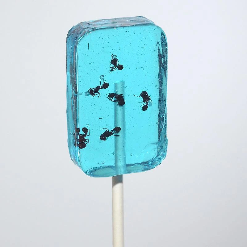 ANT-LIX Suckers Assorted Flavors