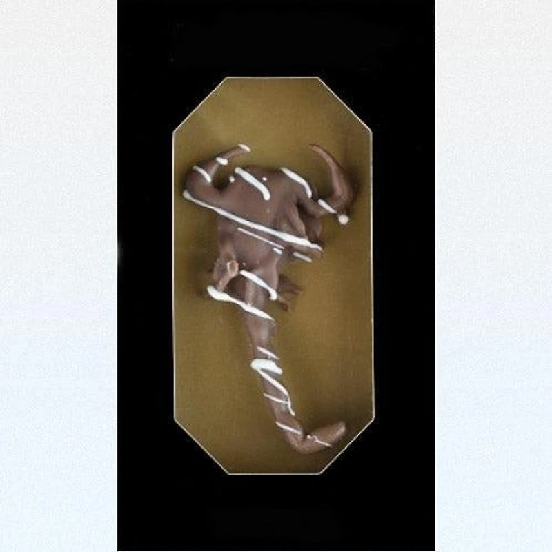 Chocolate Covered Dessert Scorpion