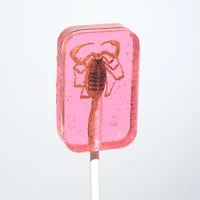 Scorpion Suckers Assorted Flavors