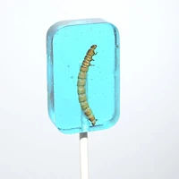 Worm Suckers Assorted Flavors
