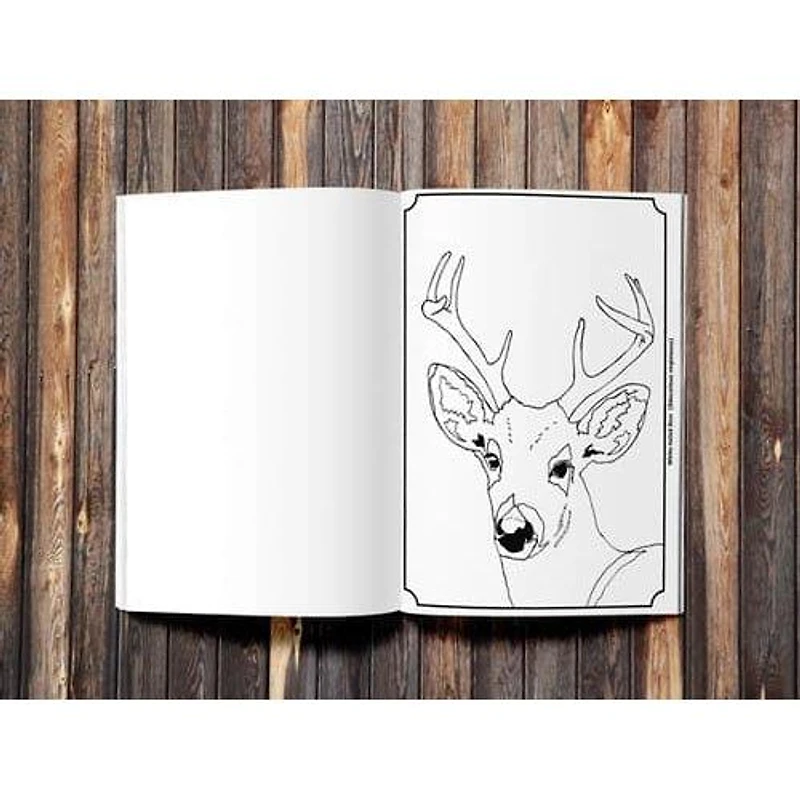 Boundary Waters Critters - Create & Color Coloring Book