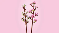 LEGO Cherry Blossoms