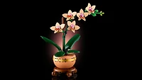 LEGO Icons Botanical Collection - Mini Orchids