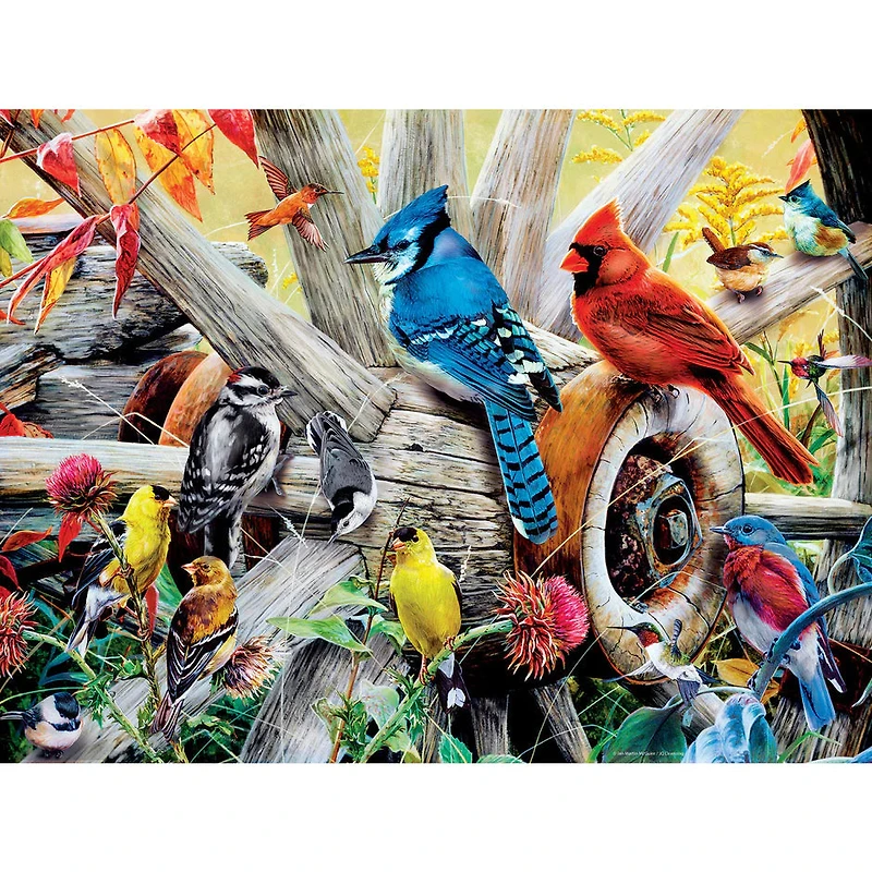 Audubon - Backyard Birds - 300 Piece EZGrip Puzzle