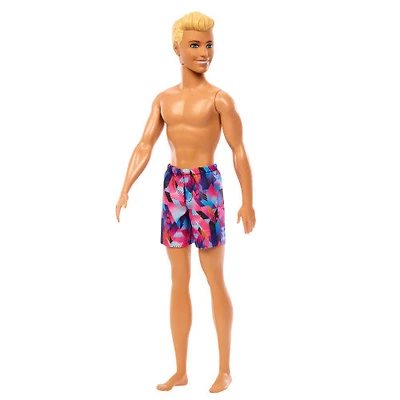 Beach Ken Doll - Geometric Blue & Pink Trunks