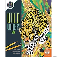 Color By Number - Wild Wonders