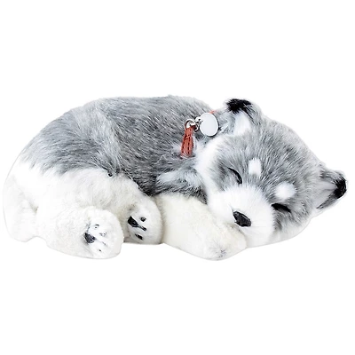 Perfect Petzzz Alaskan Husky