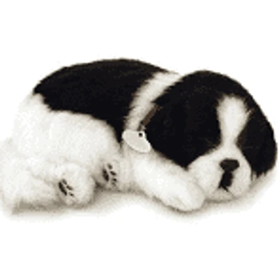 Perfect Petzzz Border Collie