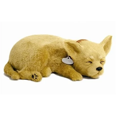 Perfect Petzzz Chihuahua