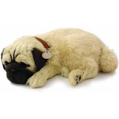 Perfect Petzzz Pug