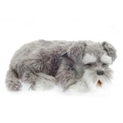 Perfect Petzzz Schnauzer
