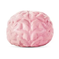 Giant Brain Ball