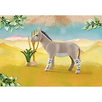 Wiltopia - African Wild Donkey