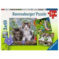 Kittens - 3x49 Piece Puzzle