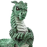 Grumpy Dragon