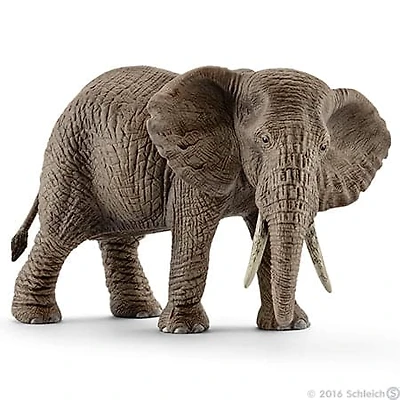 African Elephant, Female 2024